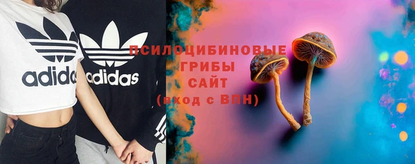 ГАЛЛЮЦИНОГЕННЫЕ ГРИБЫ Арсеньев