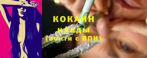 ГАЛЛЮЦИНОГЕННЫЕ ГРИБЫ Арсеньев
