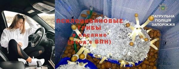 ГАЛЛЮЦИНОГЕННЫЕ ГРИБЫ Арсеньев