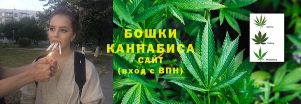 ГАЛЛЮЦИНОГЕННЫЕ ГРИБЫ Арсеньев