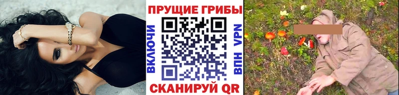Галлюциногенные грибы Psilocybe Асбест